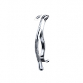 Extracting Forceps American Pattern